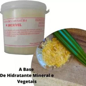 Cera Carnauba Restaurar Parachoque Painel Ressecado Plástico